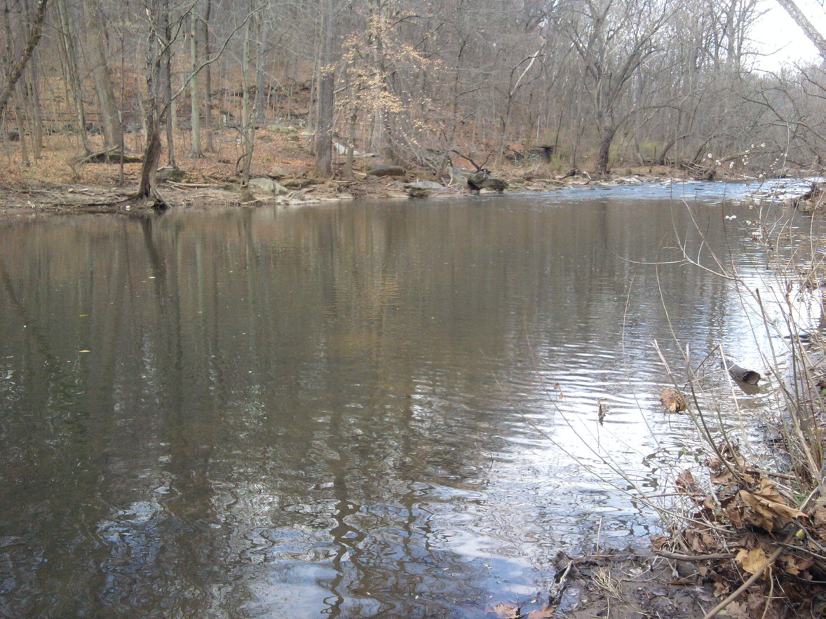 fishing-lakes-in-montgomery-county-where-to-fish-close-to-norristown-pa