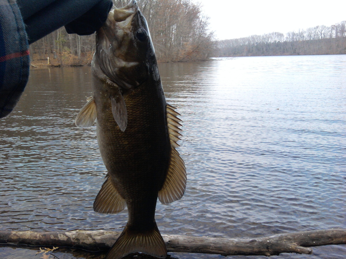 Fishing Lakes in Montgomery County - Where to Fish Close to Norristown PA