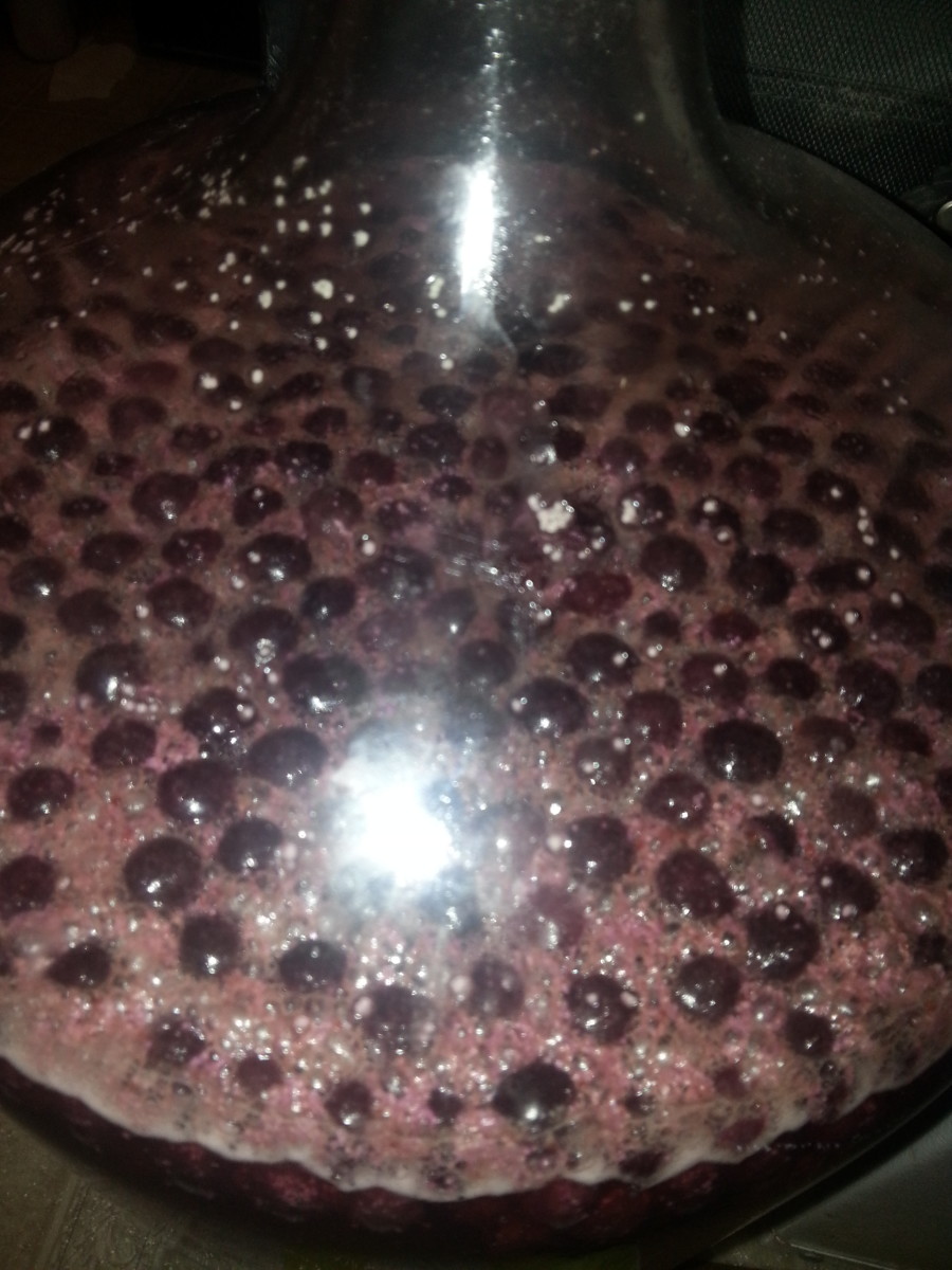 Blueberry Mead (Honey Wine) Recipe