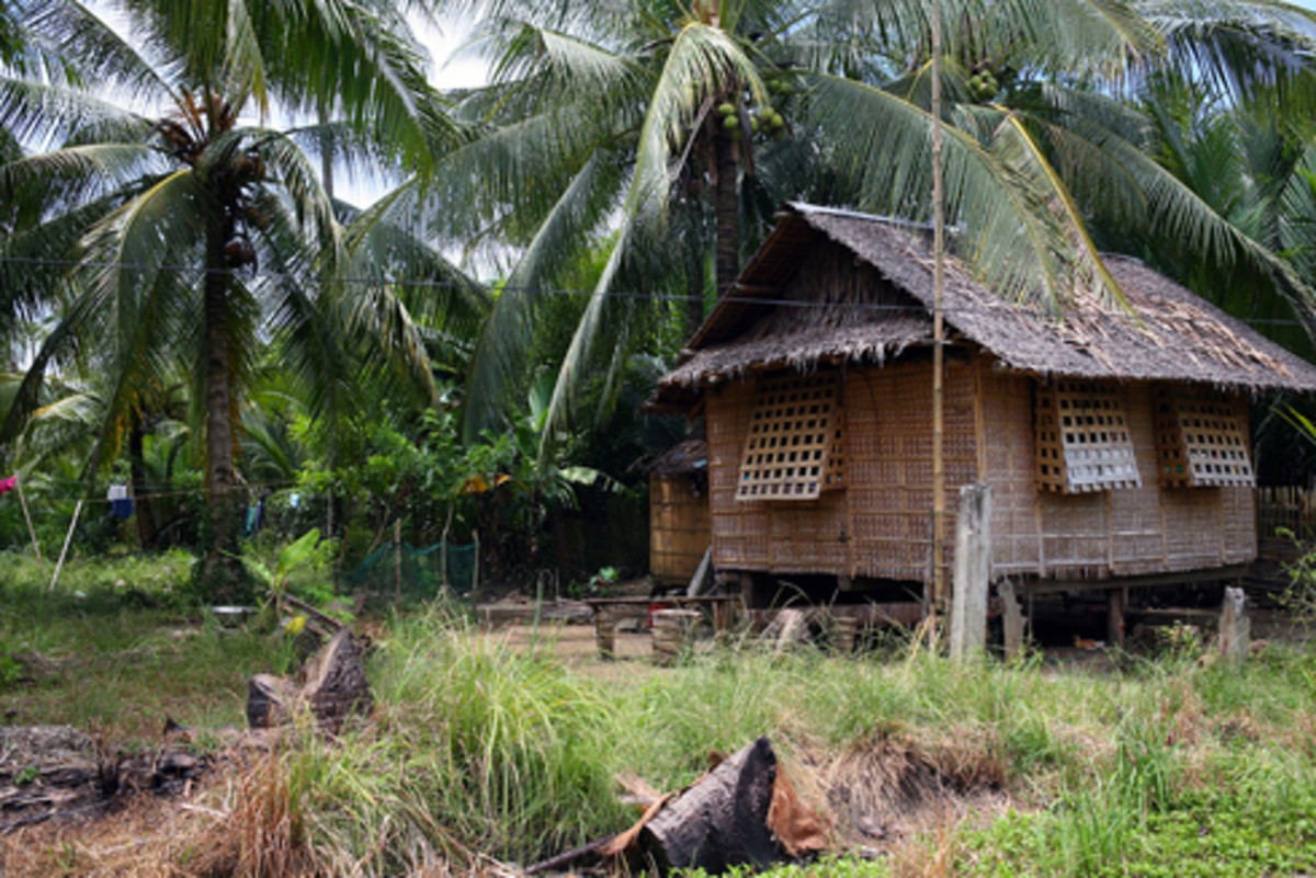 To repatriate in Tagalog  Filipino words, Tagalog, Words