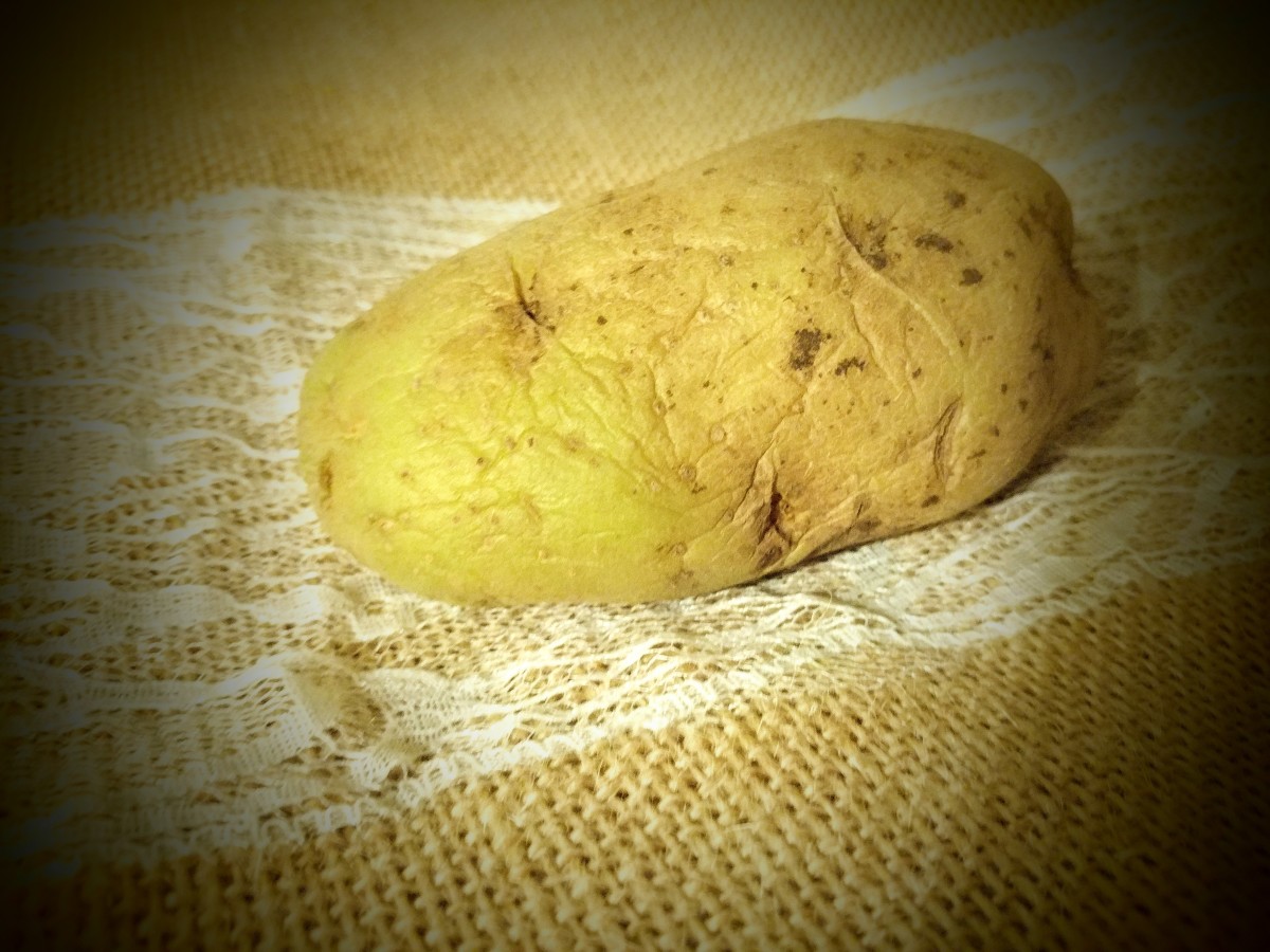 how-to-grow-potatoes-big-potatoes
