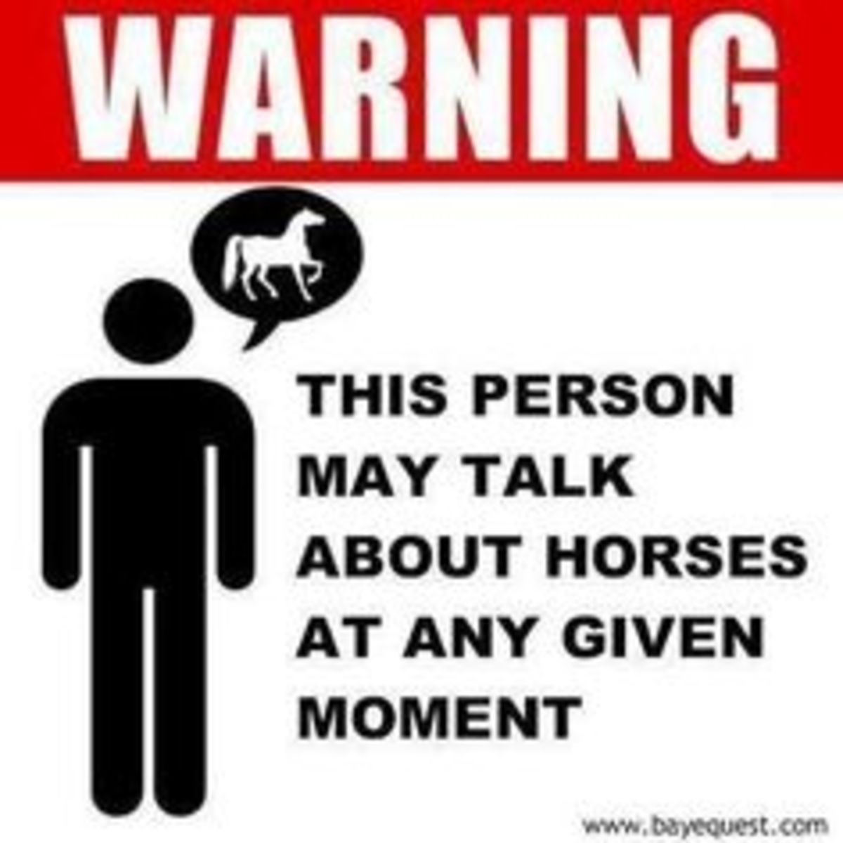 Warning- For some of us, the horse crazy never ends!