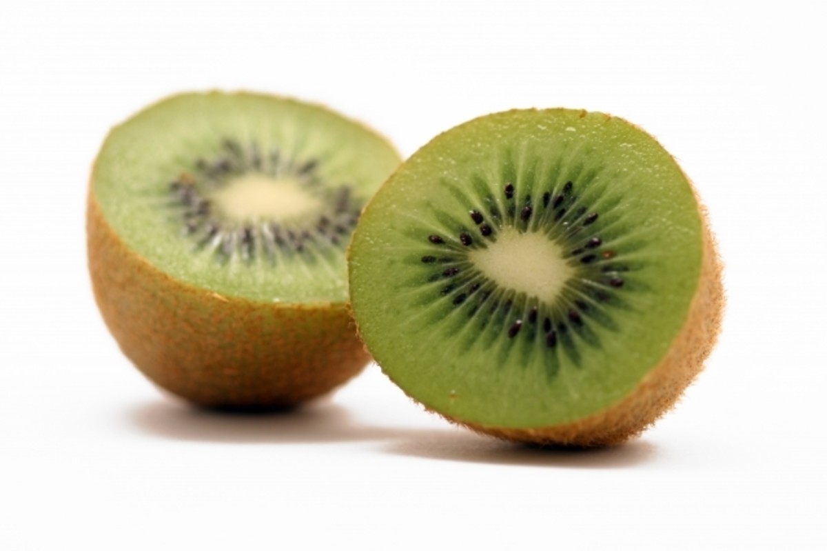 kiwi-lime-sorbet