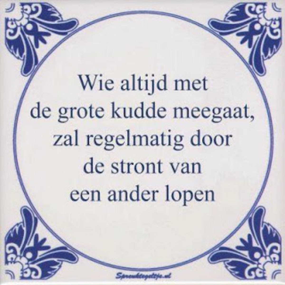 Dutch are inventive in coming up with unofficial proverbs and put them on a tile. This one means: "who always walks with the big herd, will regularly run through the shit of another".