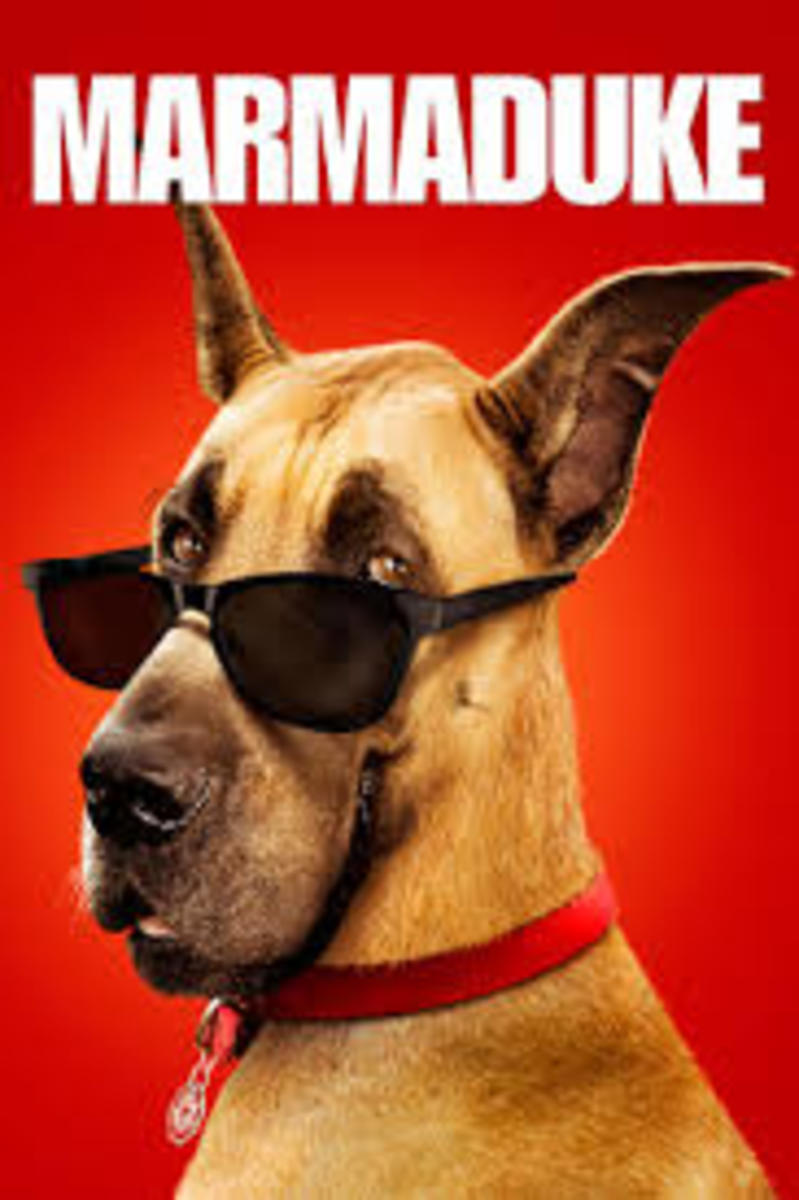 Movie Review of Marmaduke the Movie (2010 Movie) HubPages
