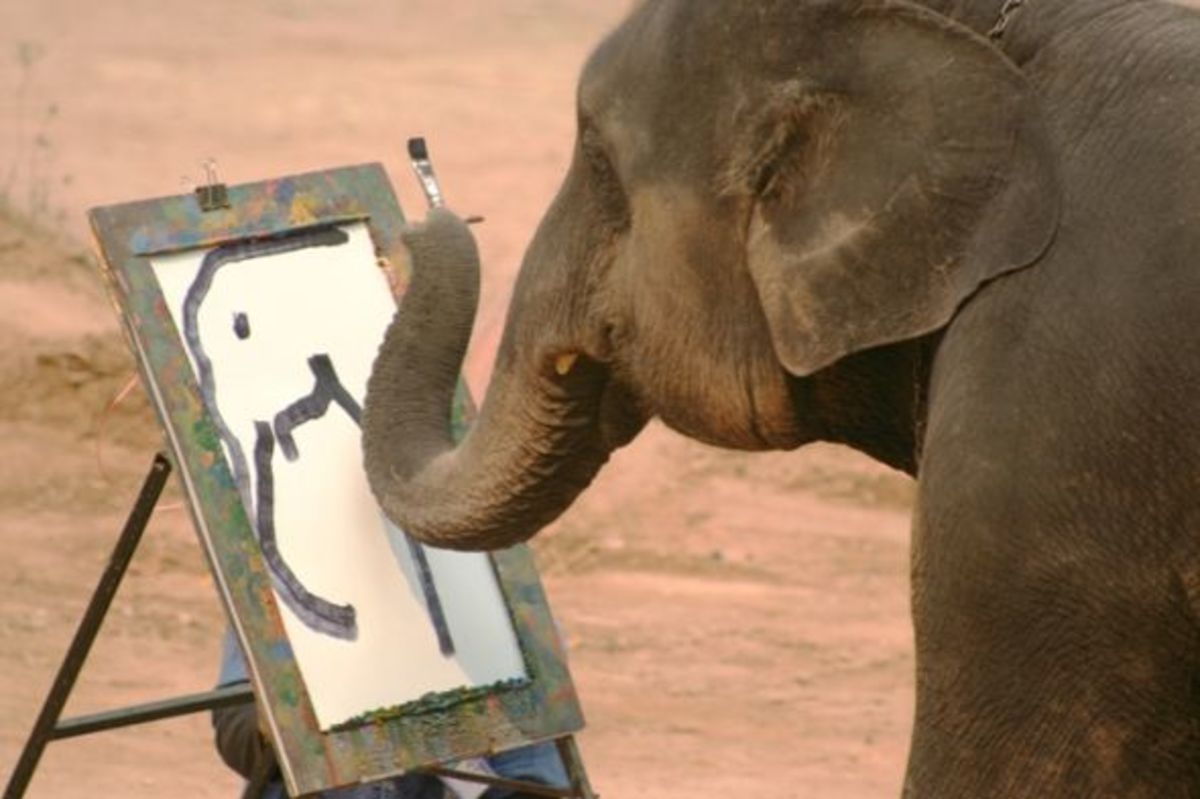 Слоны умные животные. Смешные слоны. Смешной Слоник. Хобот слона.