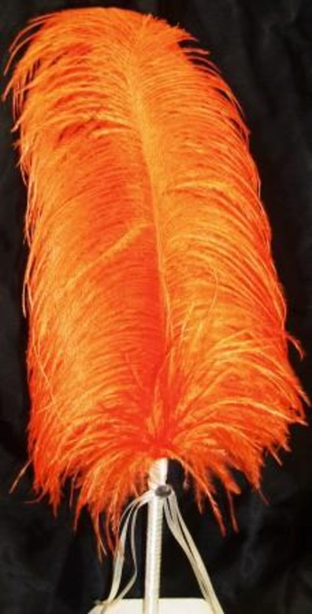 Orange feather pen