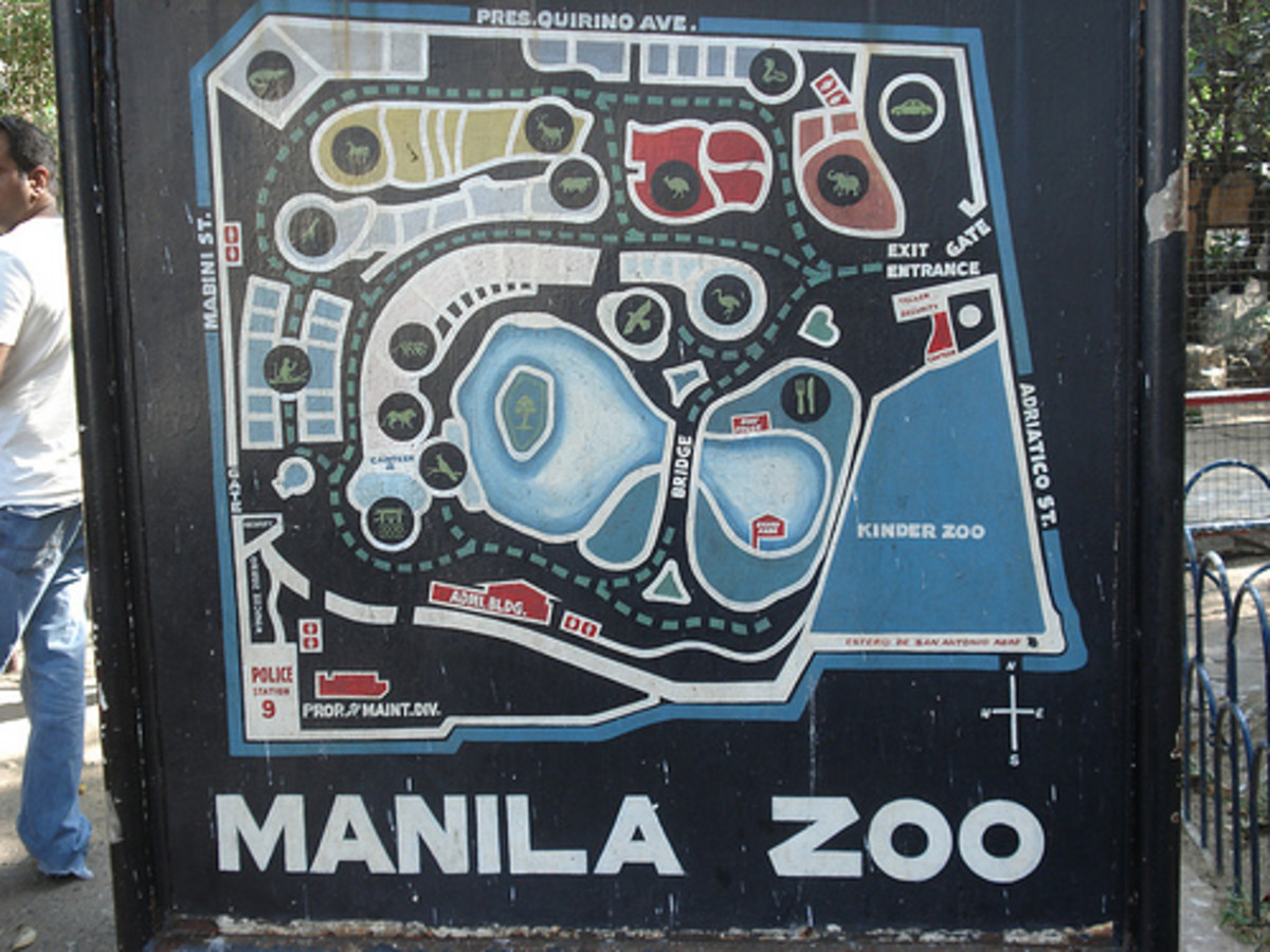 manila-zoo-in-the-philippines