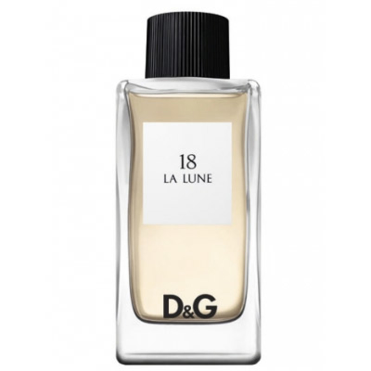dg-fragrance-anthology-review