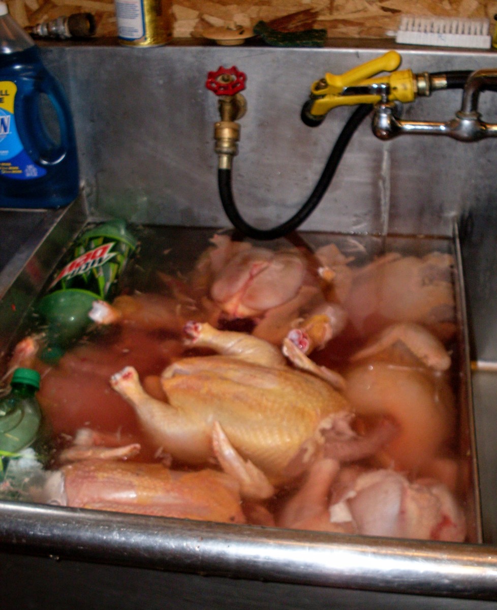 Arrange them among the ice bottles, so they begin cooling quickly. Chicken meat deteriorates quickly.