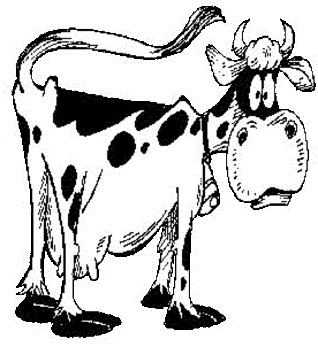 Cow Facts and Cow Trivia