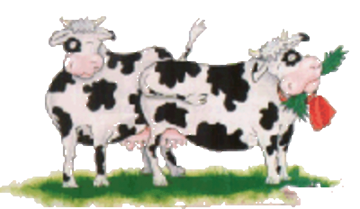 Did you hear about Elsie? She's all bent out of shape because another Holstein was wearing the same spots.