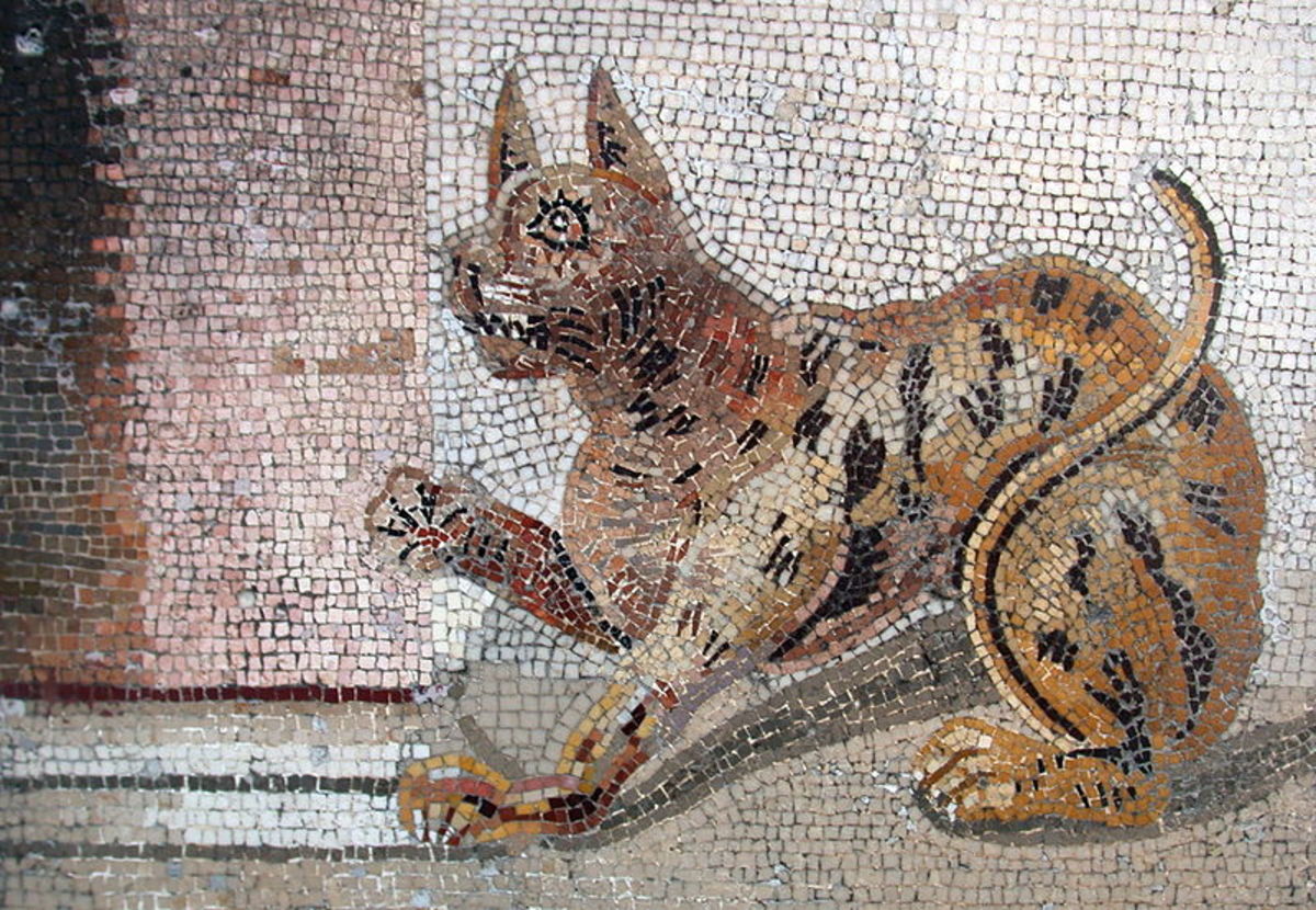 Cat mosaic from Pompeii, National Archeological Museum, Naples. photographh by Massimo Finizio. Courtesy Wiki Commons