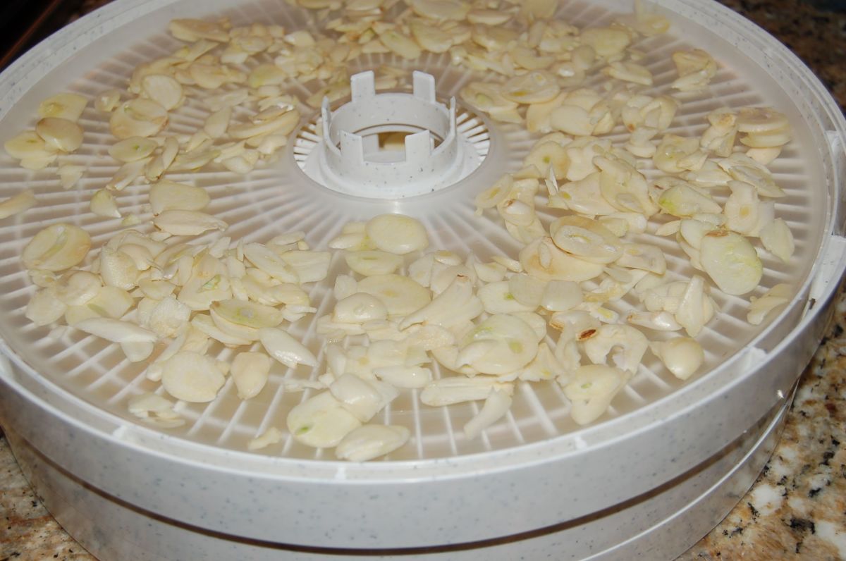 Andi spreads thin layers of garlic slices on dehydrator trays