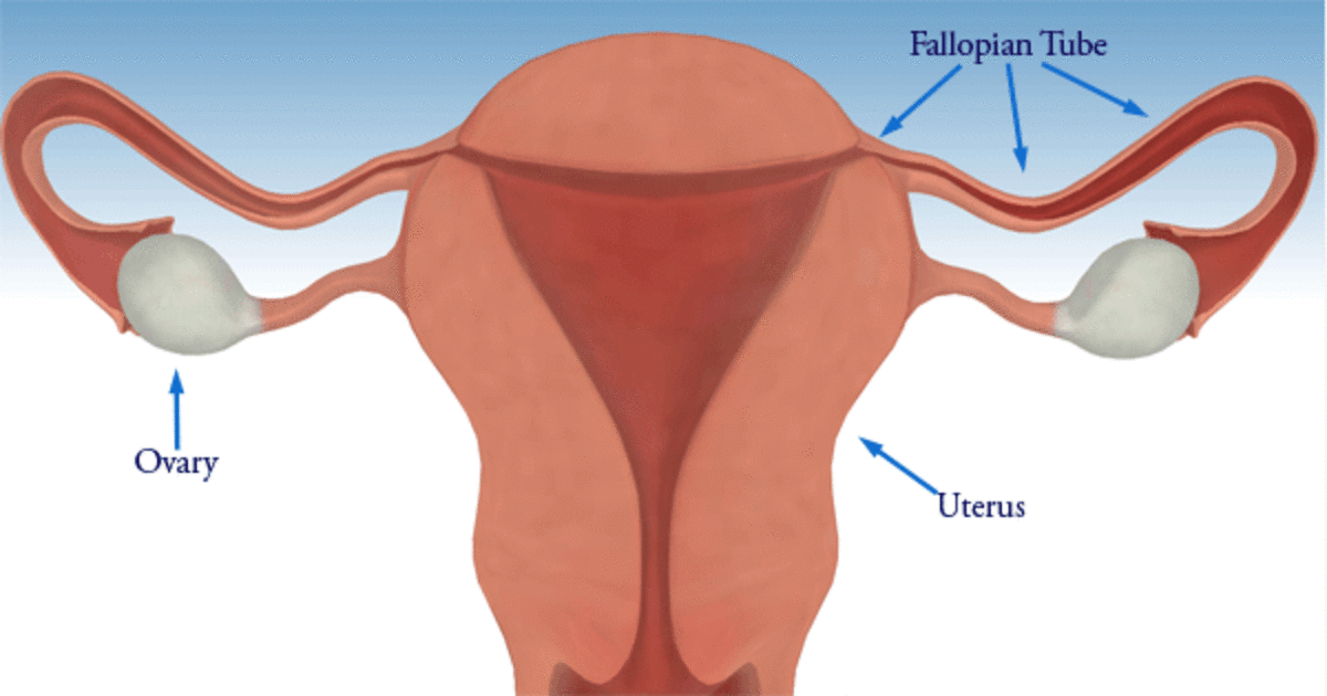 ovarian-cancer-is-it-a-silent-disease