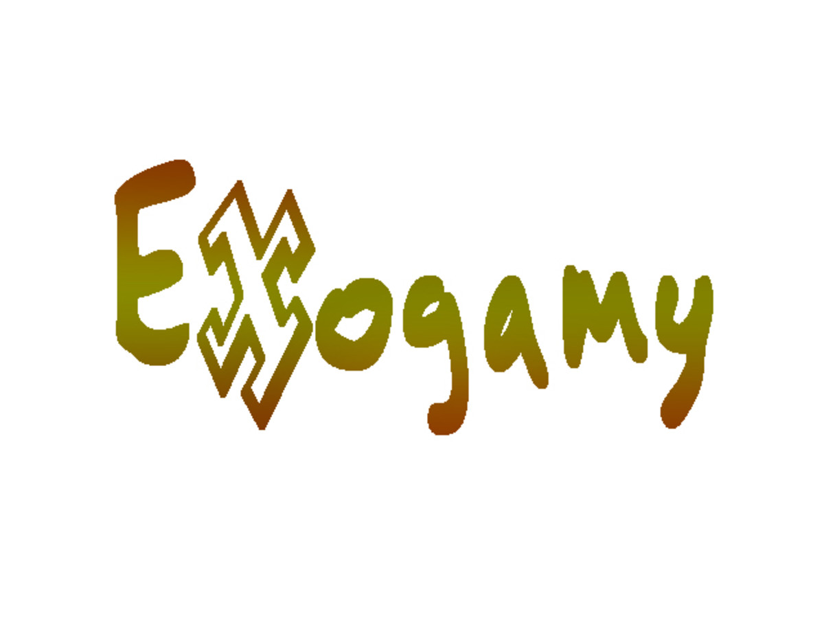 What is Exogamy