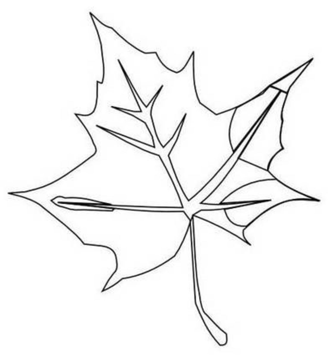 how-to-draw-fall-leaf
