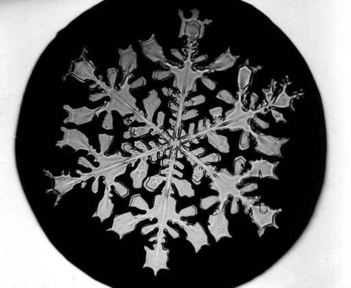 Dendrite Snowflakes: 3-dimensional, with multiple arms connecting to a hub.