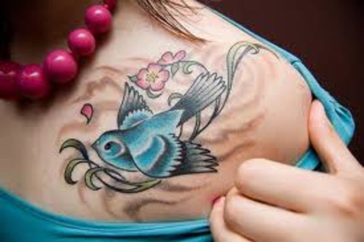 swallow-tattoos-and-meanings-swallow-tattoo-ideas-and-designs