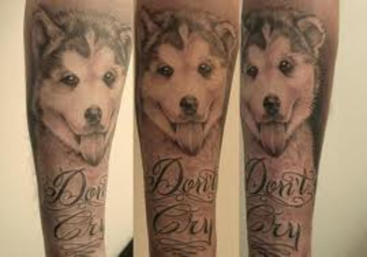 siberian-husky-facts-and-owner-tattoos