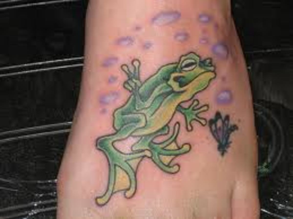 Frog Tattoos And Meanings; Frog Tattoo Designs And Ideas; Frog Tattoo Pictures