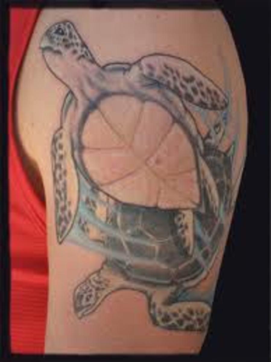 sea turtle tattoos for men