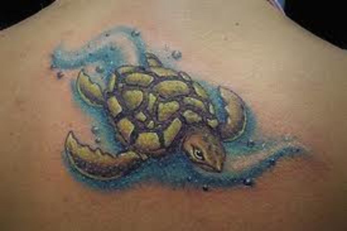 Small Go Green Turtle Tattoo – Tattoo for a week