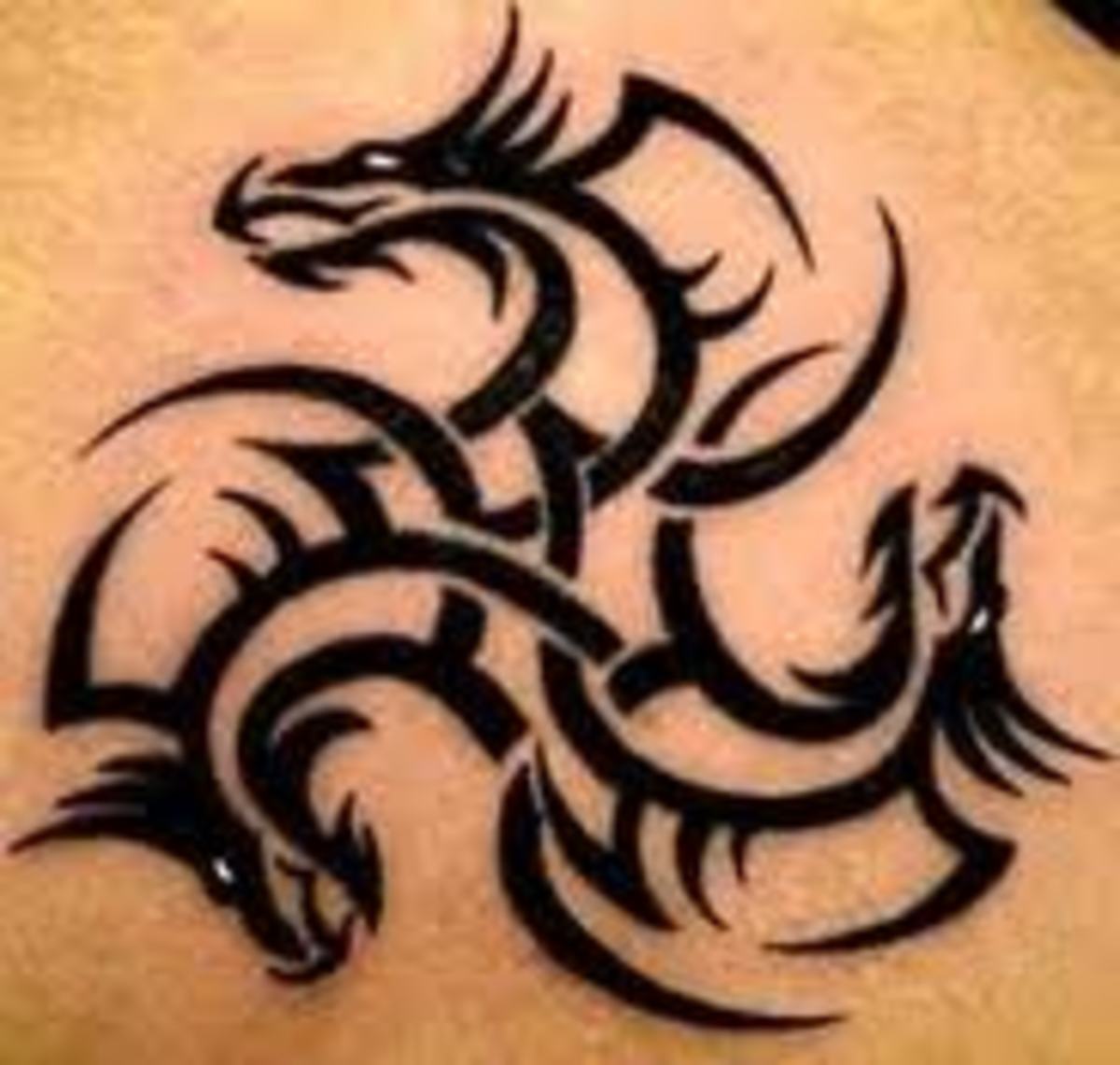 Tribal Dragon Tattoos And Meanings - HubPages