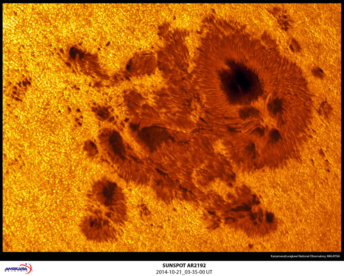 Close-up of sun spots