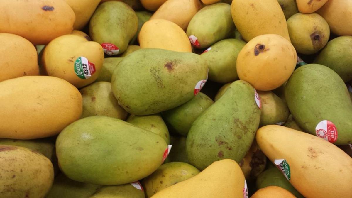 Philippine Legend The Legend of Mango HubPages