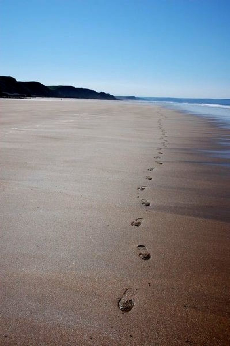 Wikimedia Footprints in the Sand by Philip Halling