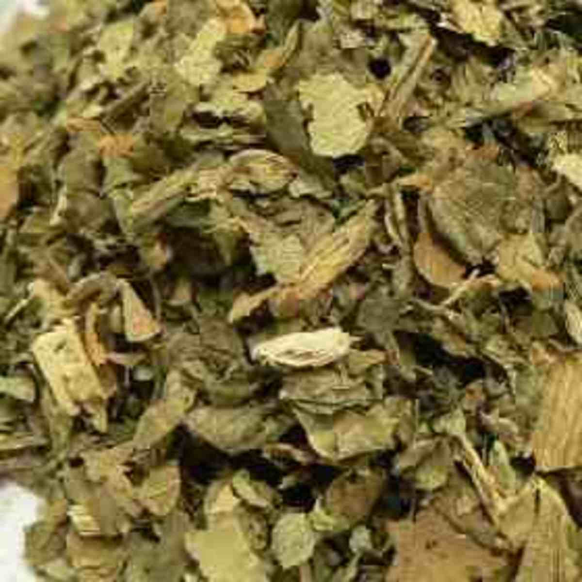 Angelica The Herb with the Medicinal and Magical Properties HubPages