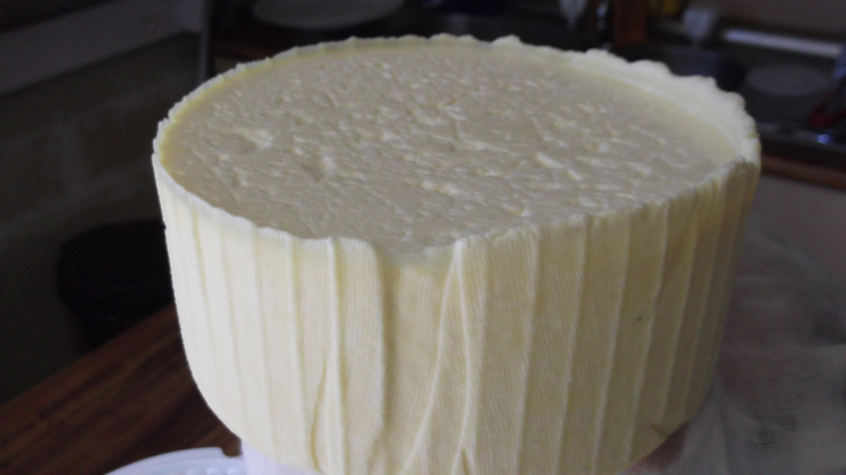 I make cheeses using organic milk, but even my home-made cheese can trigger an allergic response.