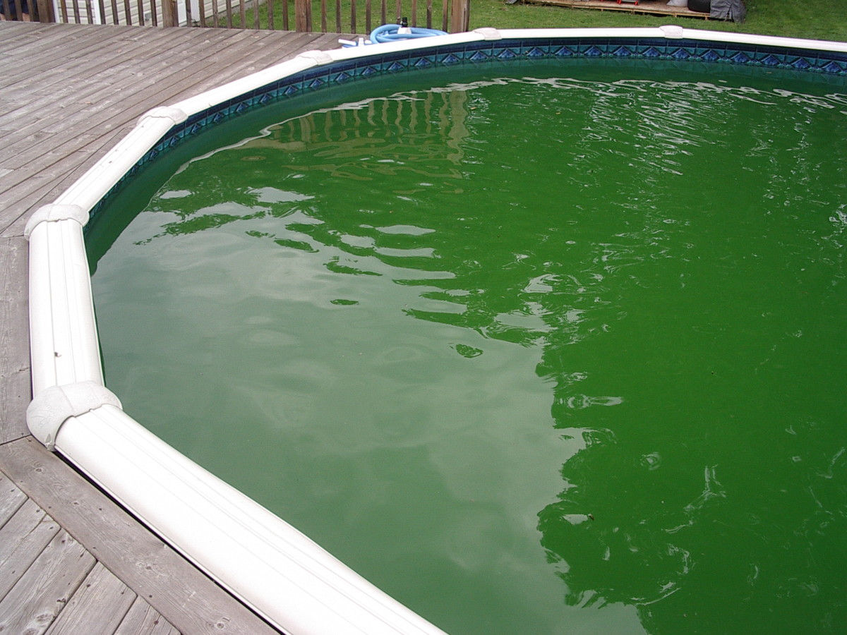 Balancing a Swimming Pool? Why and How? HubPages