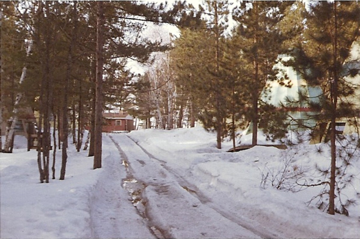 The long driveway leading to the family cabin