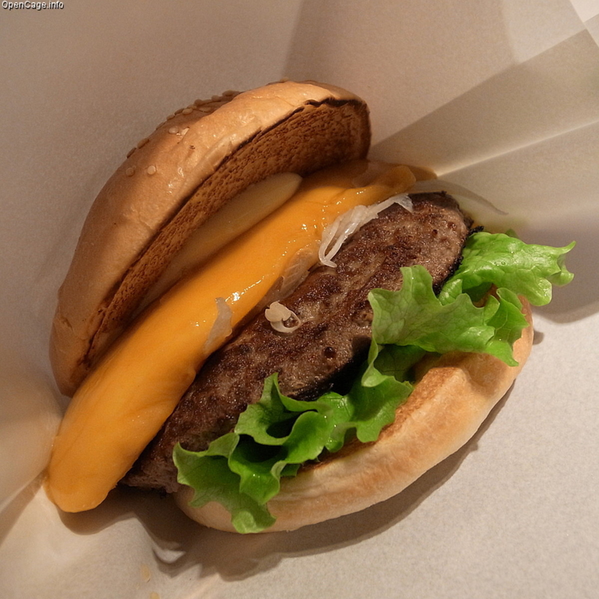 Creative Hamburgers: Burger Topping Ideas