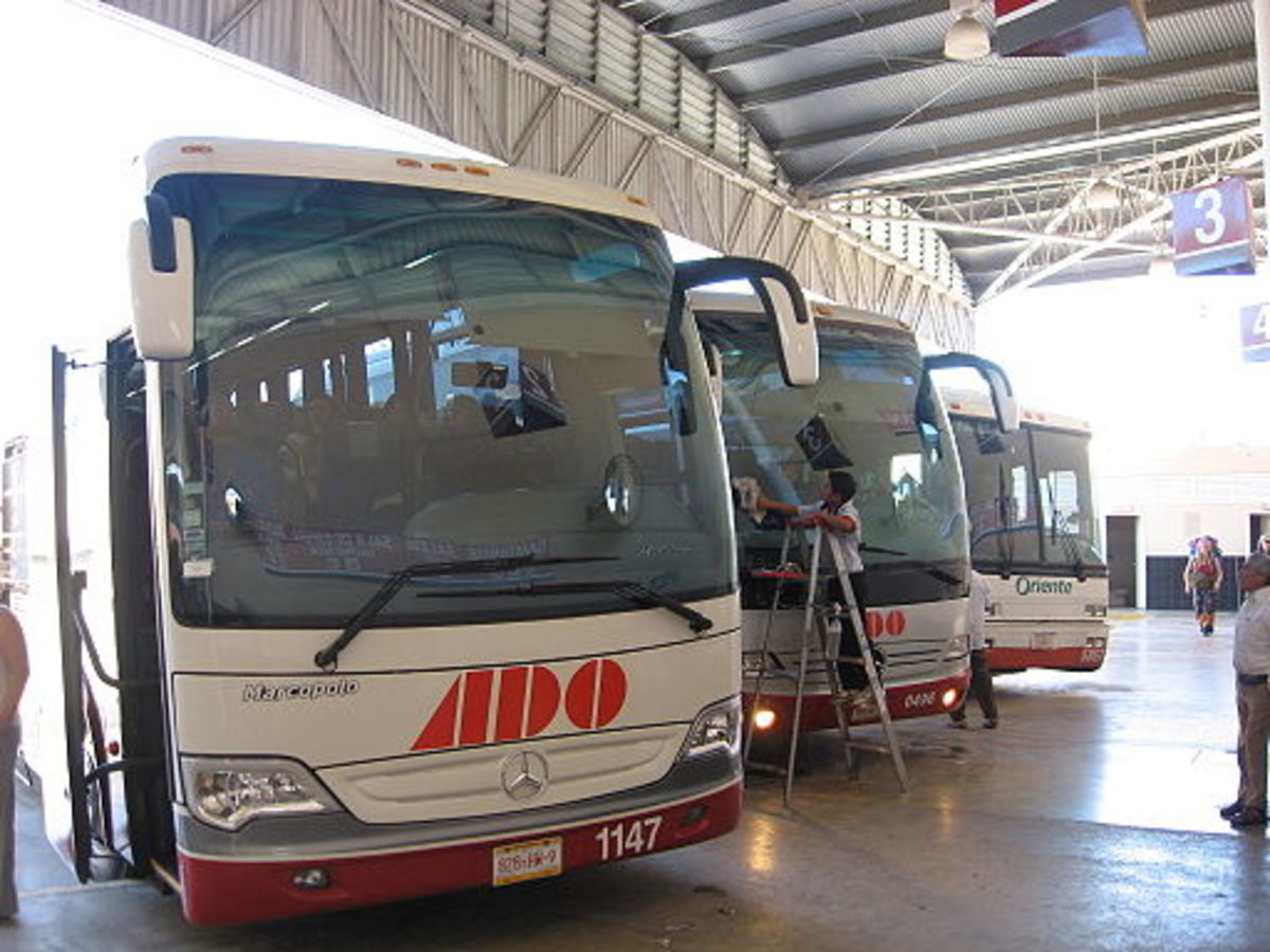 ADO Buses