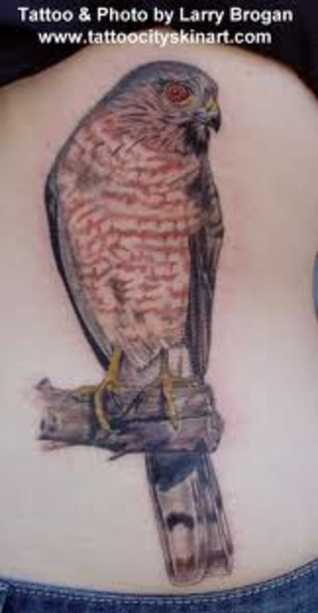 Hawk flying down to the ground tattoo idea | TattoosAI