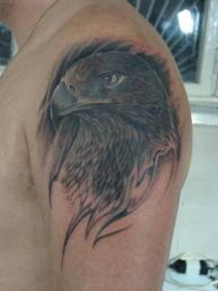 hawk-tattoos-and-meanings-hawk-tattoo-designs-and-ideas-hawk-tattoo-pictures