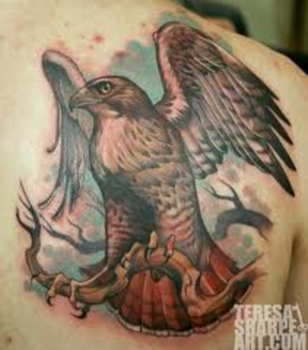 Eagle, falcon, hawk tattoos 11231197 Vector Art at Vecteezy