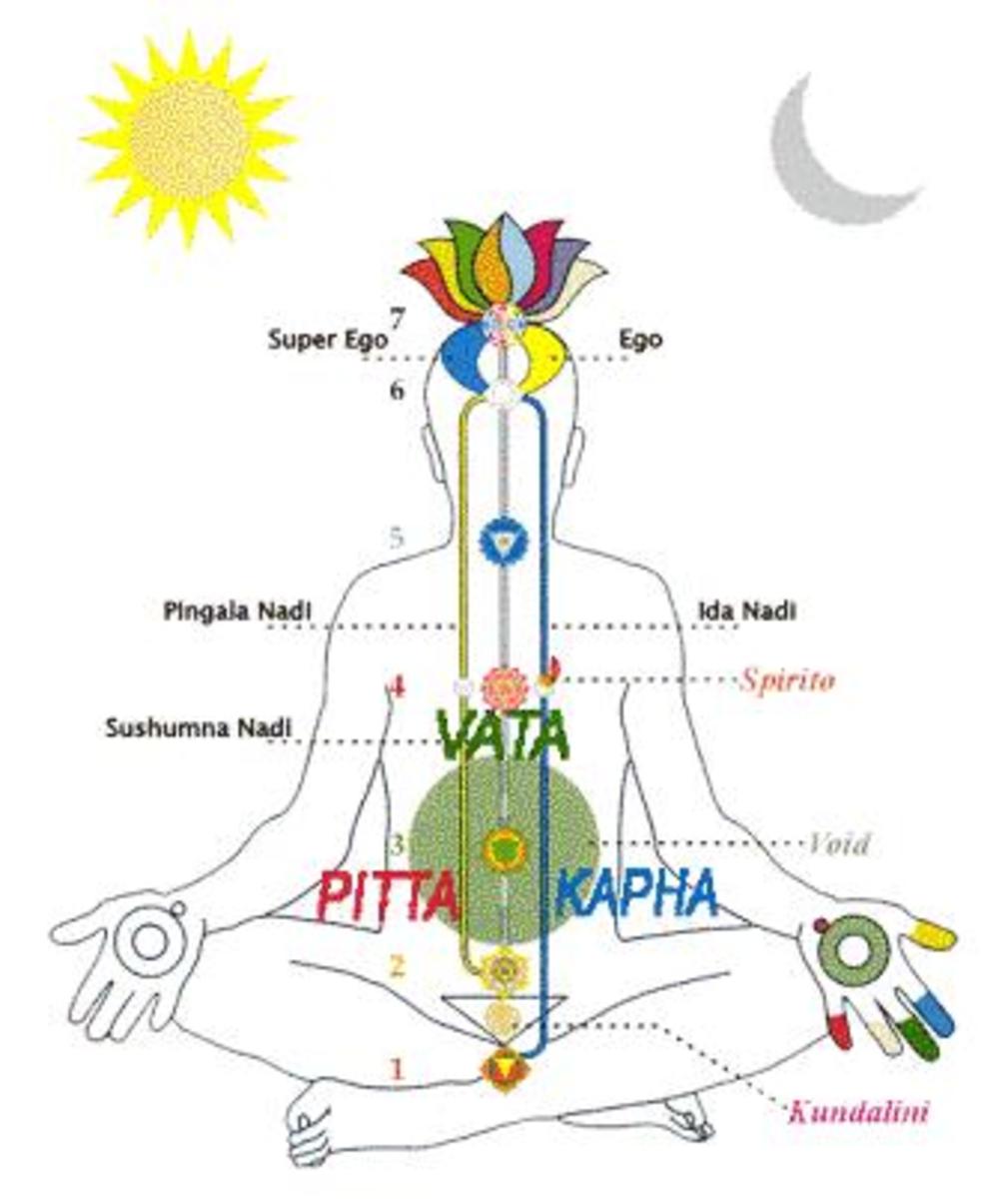 ayurveda-and-the-three-doshas-vata-pitta-and-kapha