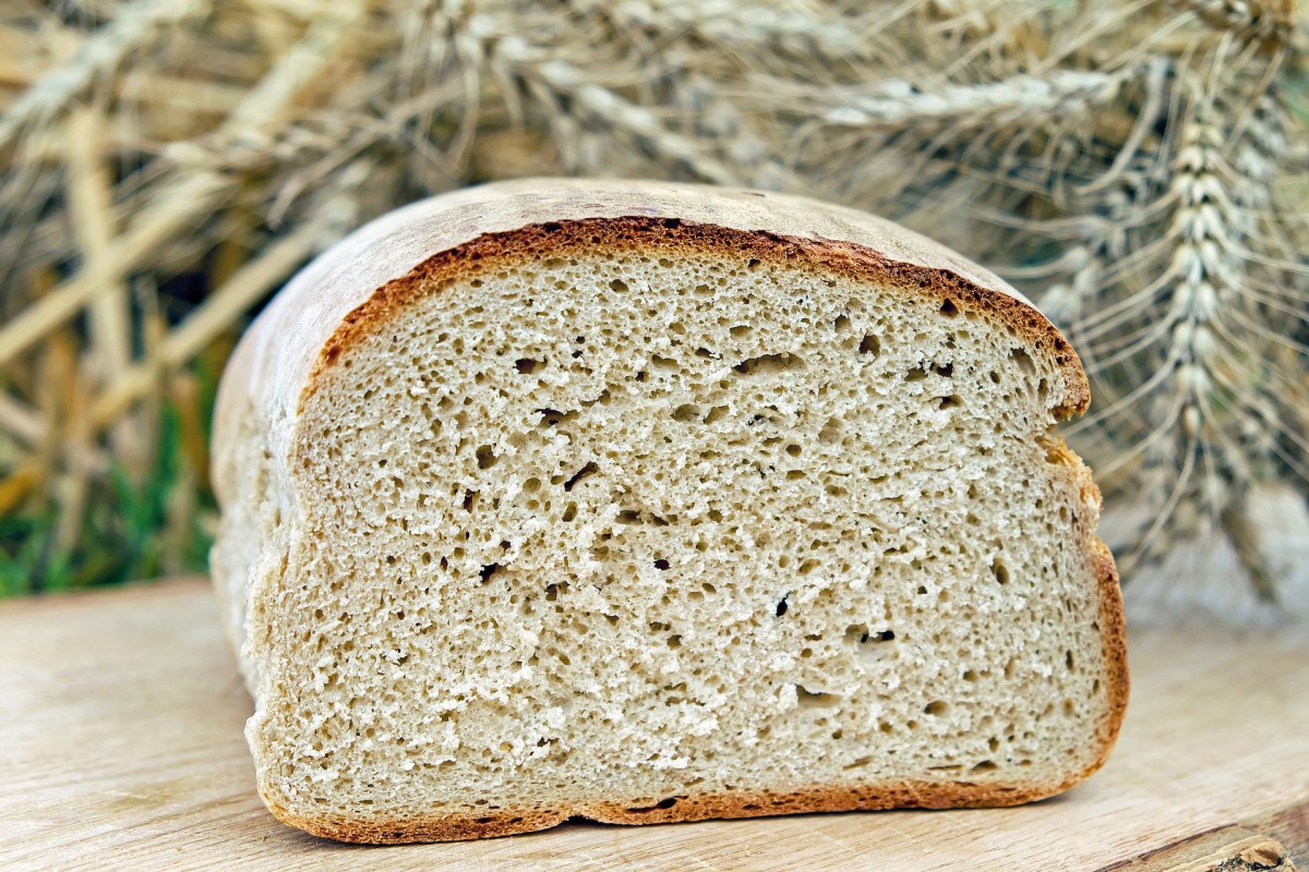 https://images.saymedia-content.com/.image/t_share/MTc2NDYyNzIzNzk2OTAzODk4/what-is-the-best-bread-maker.jpg