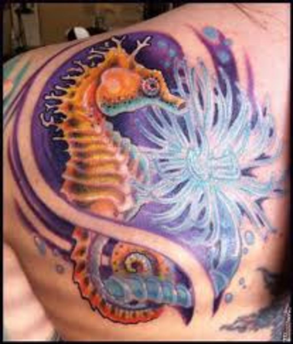 seahorse-tattoos-and-designs-seahorse-tattoo-meanings-and-ideas-seahorse-tattoo-gallery