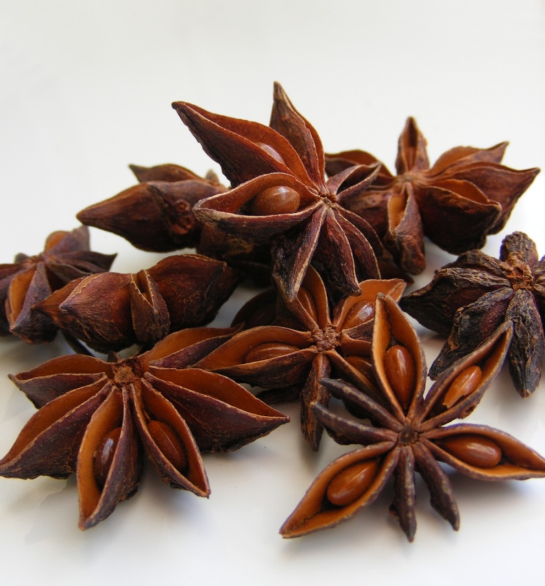 dried anise flower