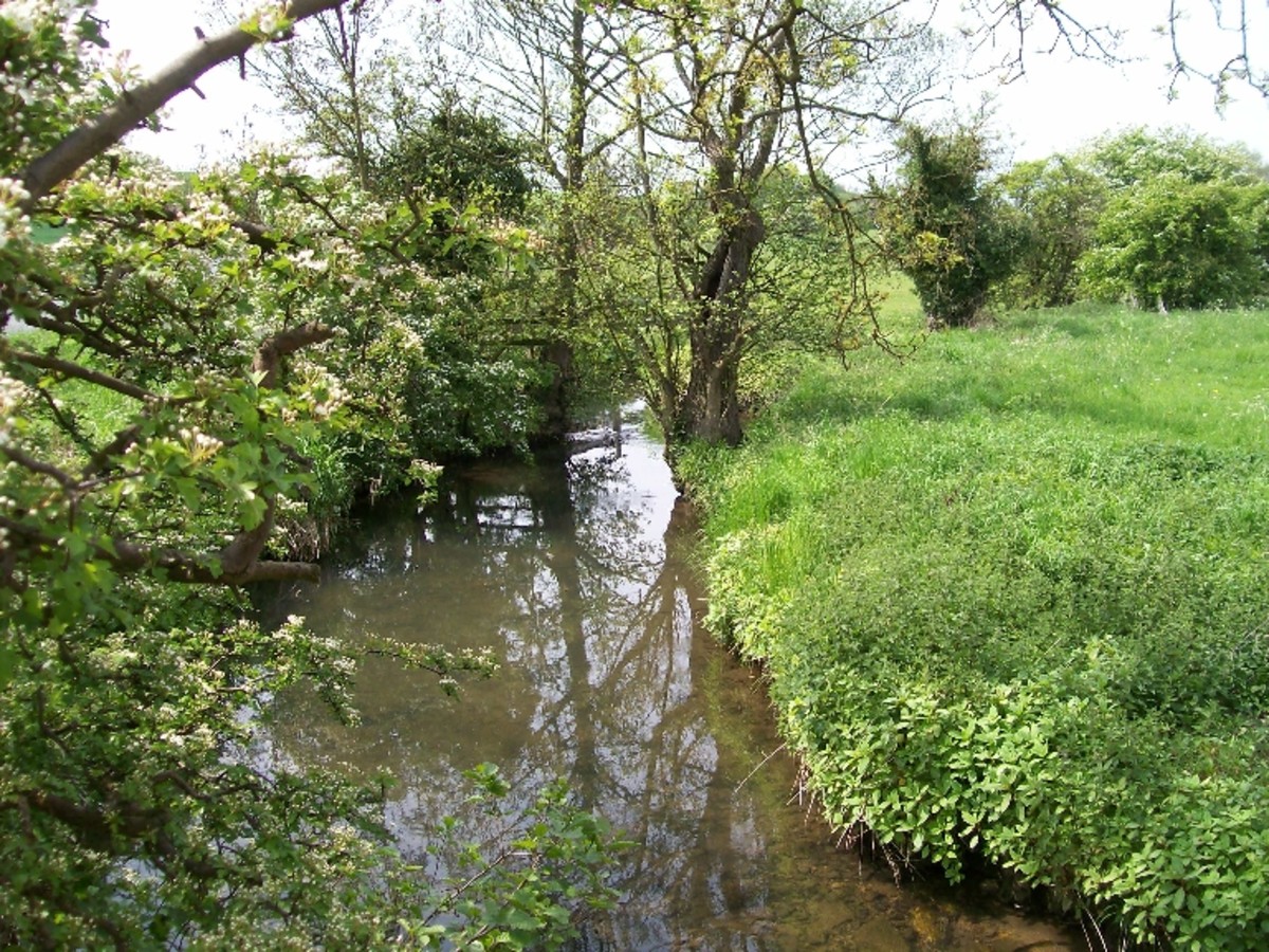 Travel North - 26: Palm Sunday Slaughter, Walk Towton Field in the ...