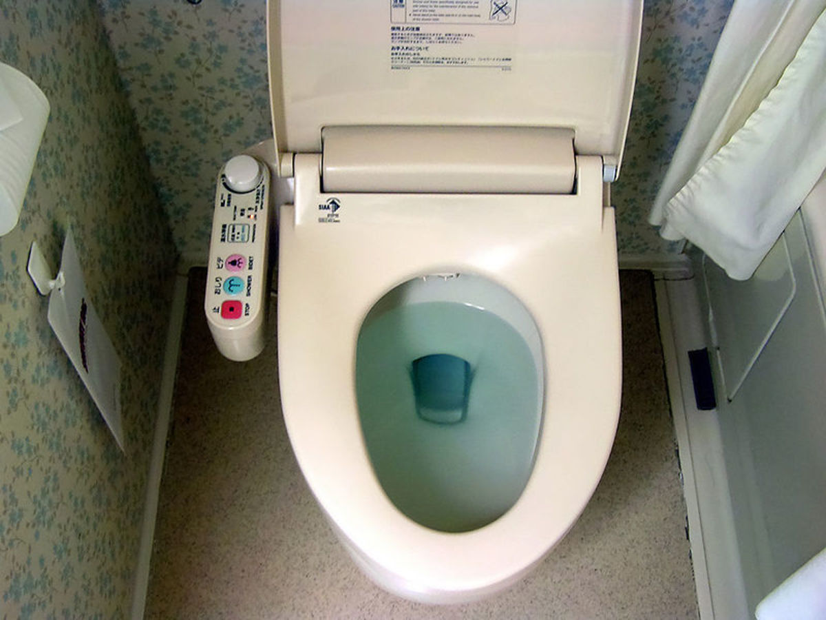 Toto's Washlet—Note the controls on the left of the photo. These make it easy to warm up the seat, and activate the washer arm and the bum dryer.