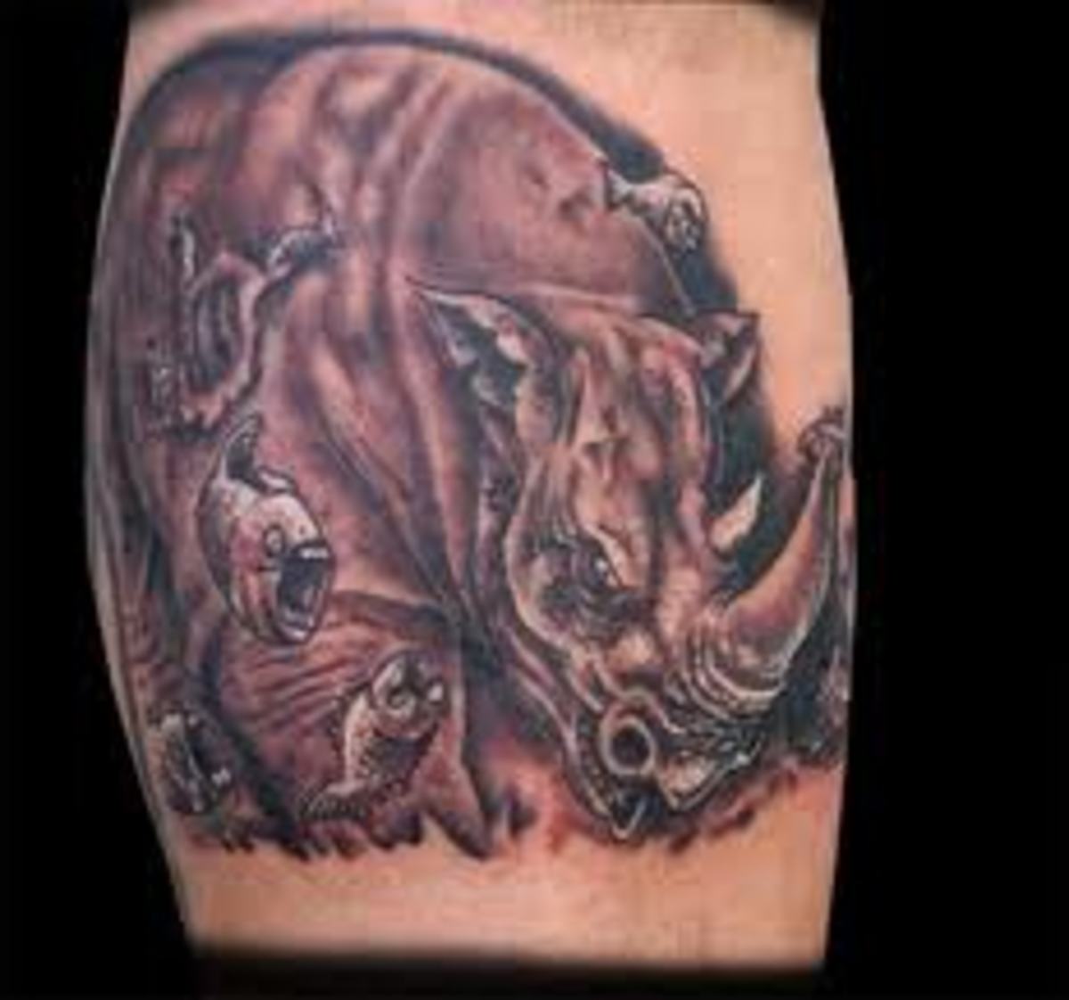 Rhino Tattoos And Designs-Rhino Tattoo Meanings And Ideas-Rhino Tattoo Pictures