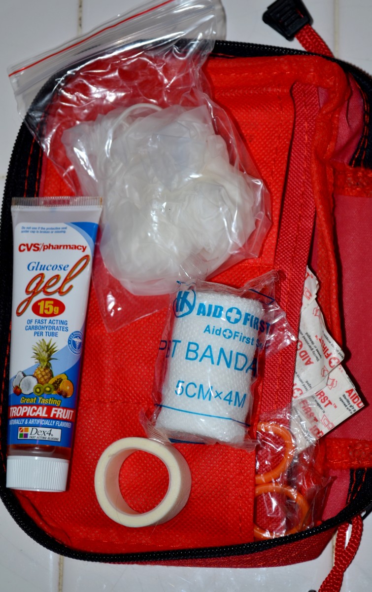 Some of the items in our portable first aid kit.