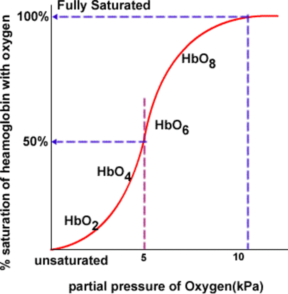 The Bohr Effect HubPages