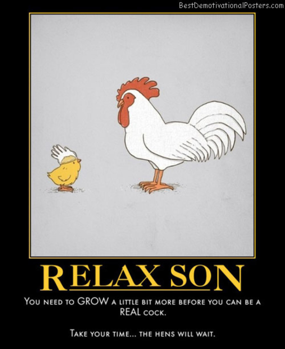 The wisdom of chickens..
